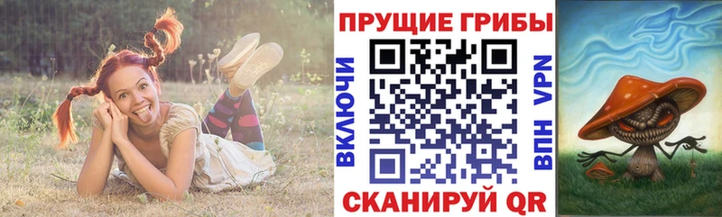 Псилоцибиновые грибы Magic Shrooms как найти наркотики Можга